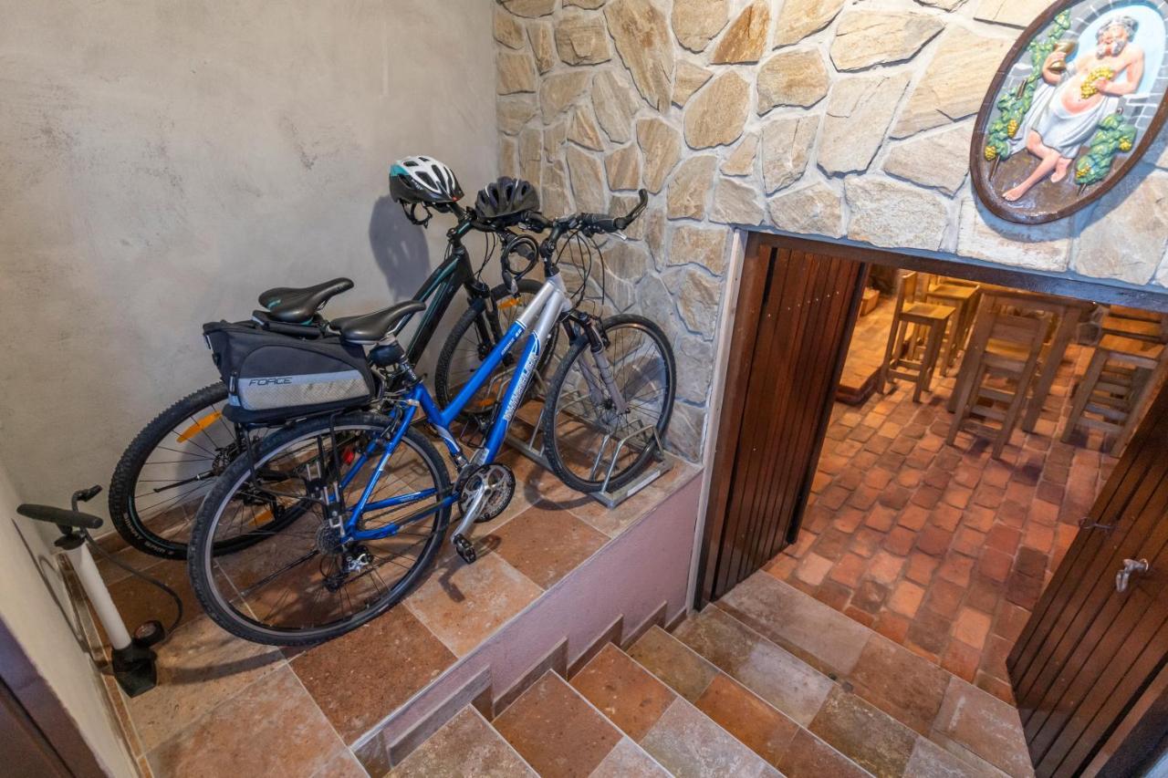 Hill Cottage Haloze Gruskovec Экстерьер фото