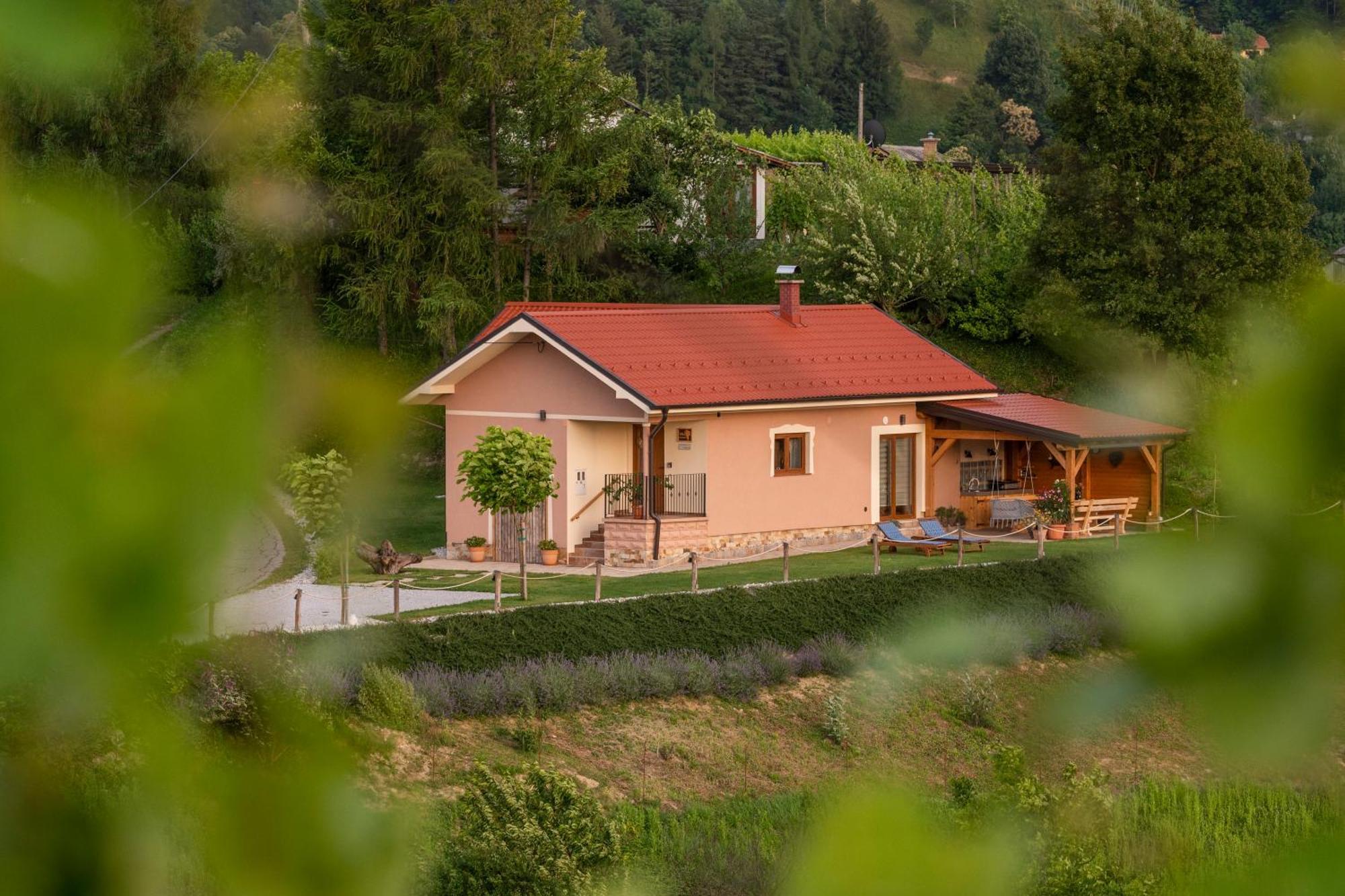 Hill Cottage Haloze Gruskovec Экстерьер фото