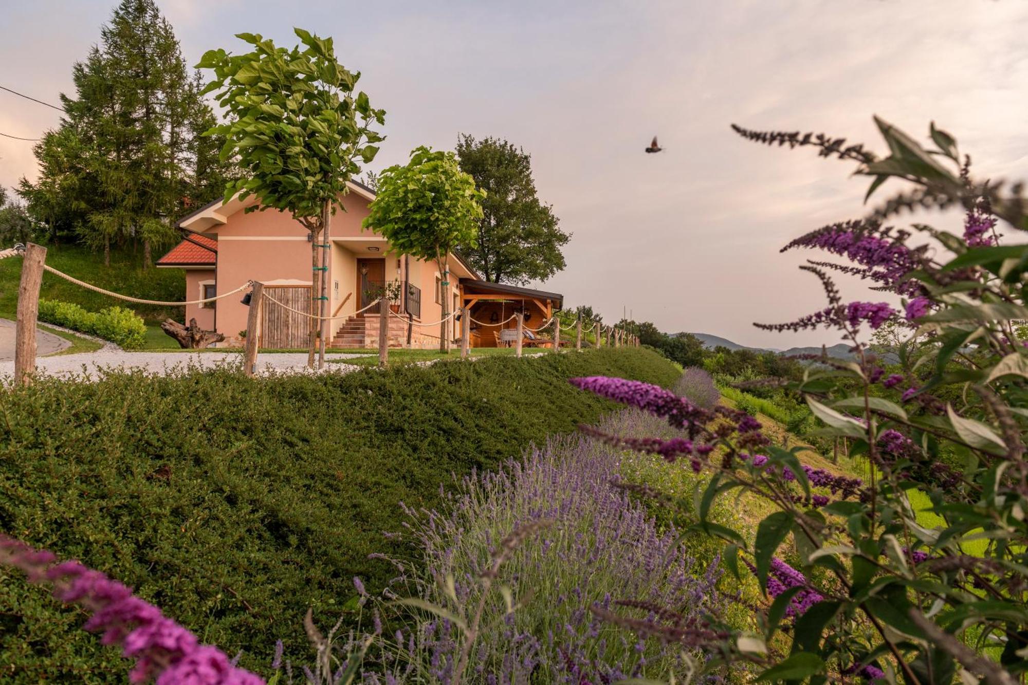 Hill Cottage Haloze Gruskovec Экстерьер фото